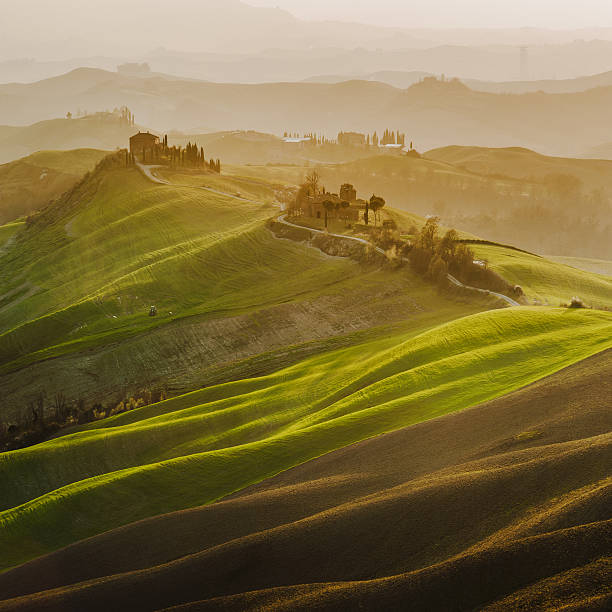 istock Tuscan green spring at sunset, Italy 484897397