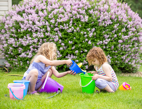 Side view of two young girls (sisters) playing with water from the garden hose and several different colored plastic buckets and toy watering cans. The girls are crouched in the grass in front of a blooming lilac bush. The older sister has curly  blonde hair and is pouring water from her blue and yellow watering can into a green bucket. The younger sister has curly red hair and is holding the green bucket.