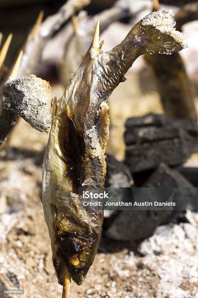 Gegrilltes und gesalzener Fisch - Lizenzfrei Bratspieß Stock-Foto