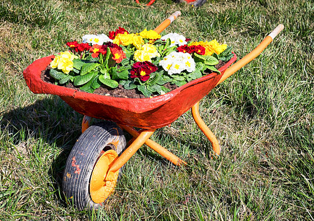istock flowers in an old cart 484898405