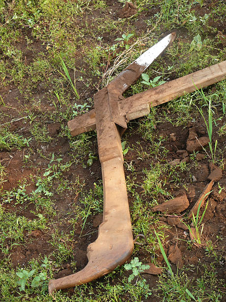 istock traditional Plough at farms india 484899451