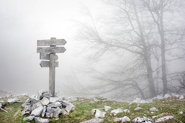 wooden signpost in foggy forest