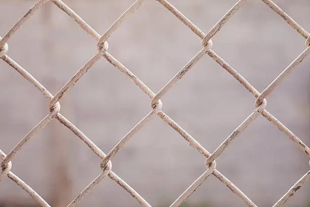 Wire Mesh Fence Close-Up