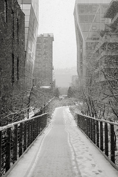 istock Manhattan Highline in winter, NYC 484900113