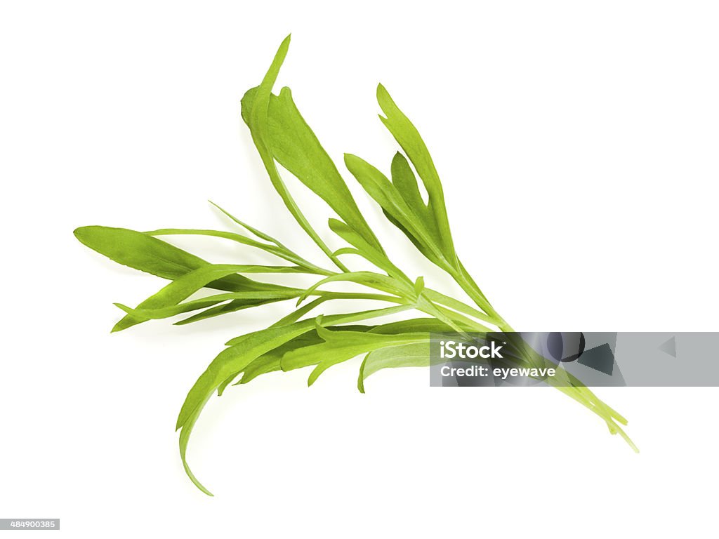 Tarragon leaves isolated bunch of tarragon leaves isolated on white background Cut Out Stock Photo