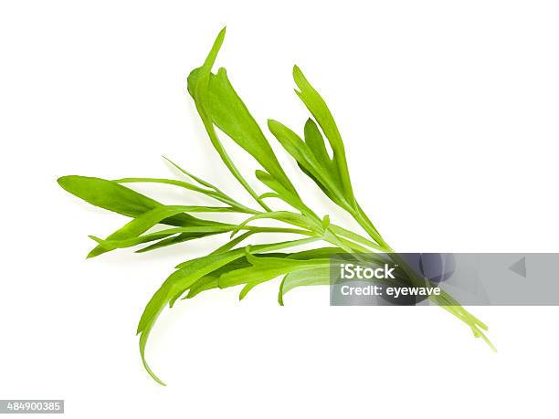 Tarragon Leaves Isolated Stock Photo - Download Image Now - Cut Out, Food, Green Color