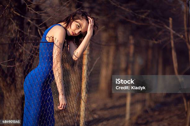 Beautiful Girl In Blue Evening Dress Stock Photo - Download Image Now - Adolescence, Adult, Adults Only