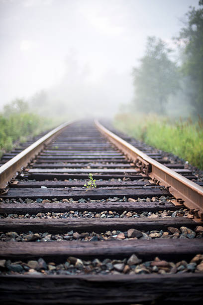Railroad track stock photo