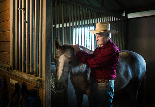 istock Senior looking after his horse 484905536