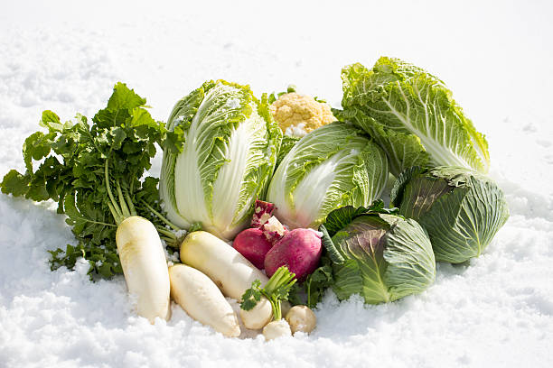 Winter vegetables stock photo