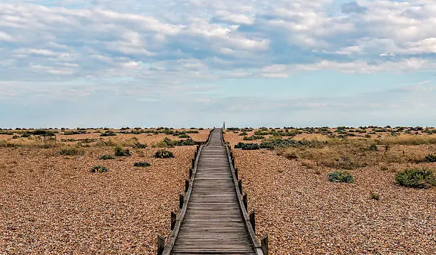 isolated wooden path on Dungeness beach, Kent, UK