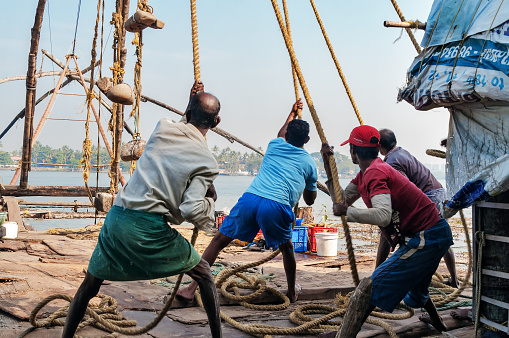 Fort Kochi, India - January 7, 2015: Unidentified Indian fishermen pull out their Chinese fishing net from sea in the beach of Fort Kochi. Kerala