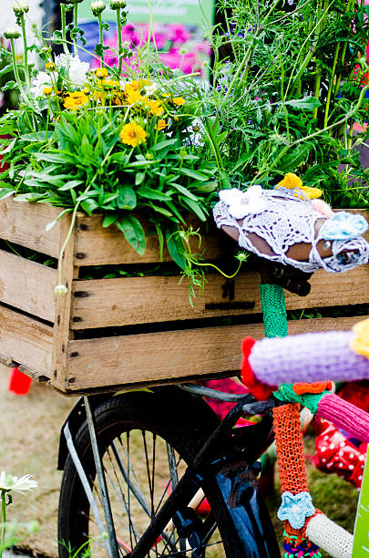 istock Urban Gardening on the back of a bicycle 484912202