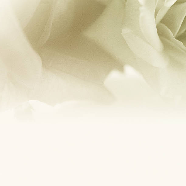 istock colorful petal flower in soft and blur style 484916140