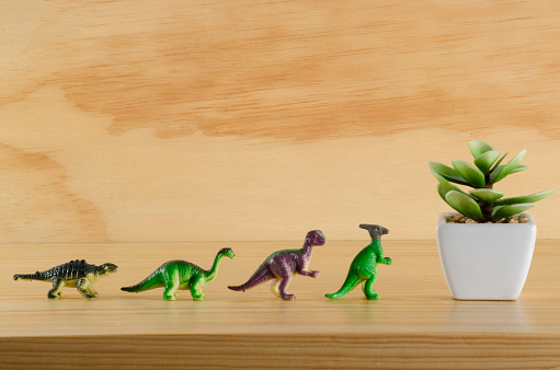 Plastic dinosaur toys with a little plant 