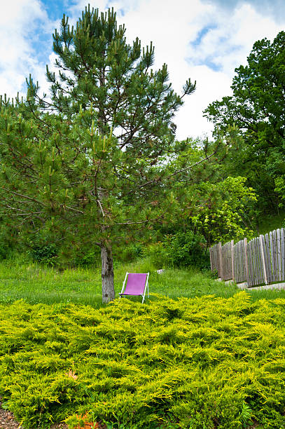Lonely chair near lake and nature background. Shallow DOF