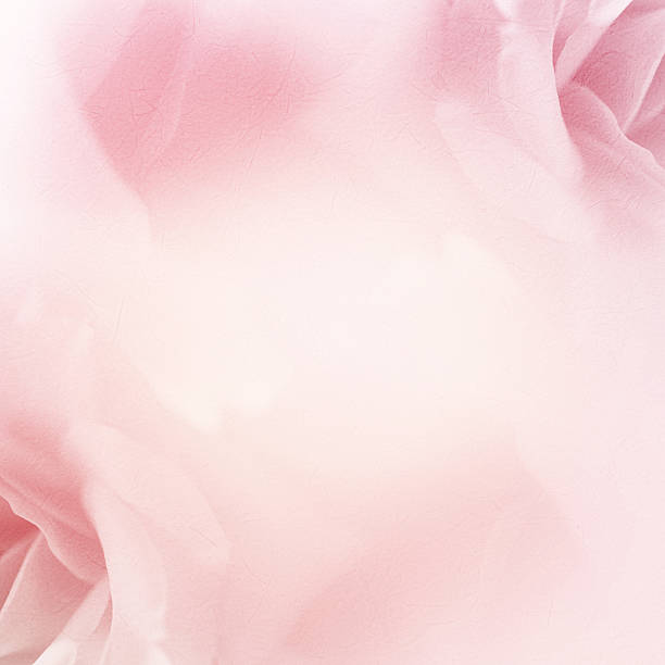 istock colorful petal flower in soft and blur style 484918038