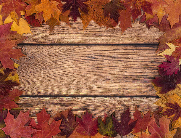 istock Autumn leaves border against wood background 484919628