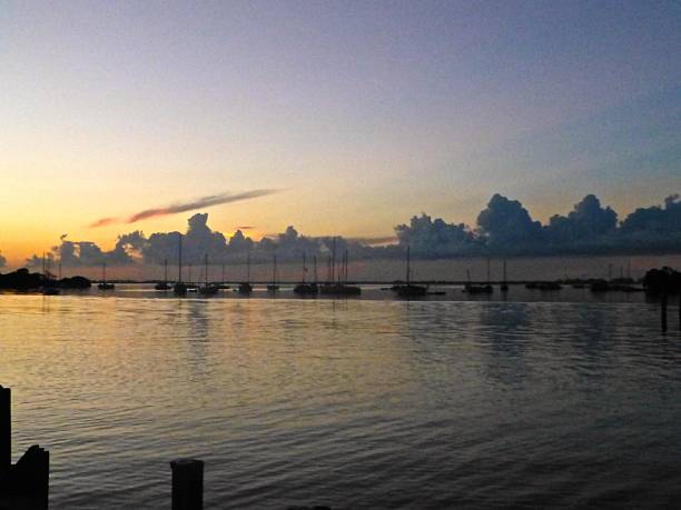 istock Shot at dawn of Biscayne bay 484922898