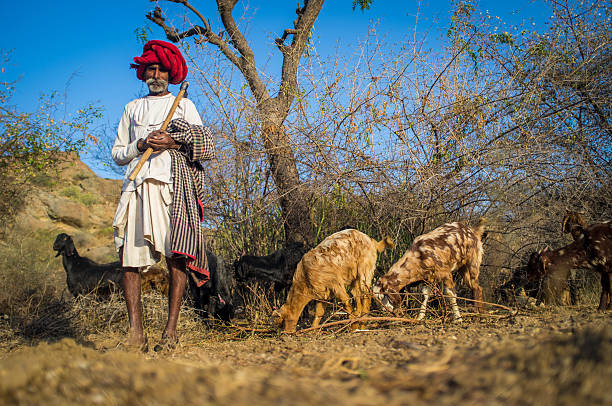 rabari stammesangehörige - shoe men indian culture indian ethnicity stock-fotos und bilder