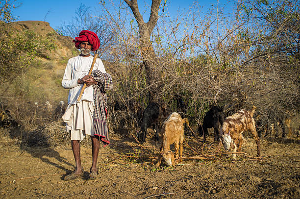 rabari 부족 - shoe men indian culture indian ethnicity 뉴스 사진 이미지