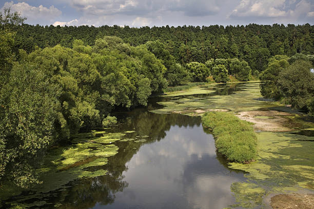 istock Pakhra riverbank in Dubrovitsy. Russia 484925430