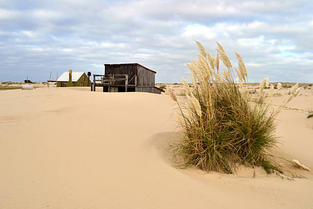 istock Cape Polonio houses 484927808