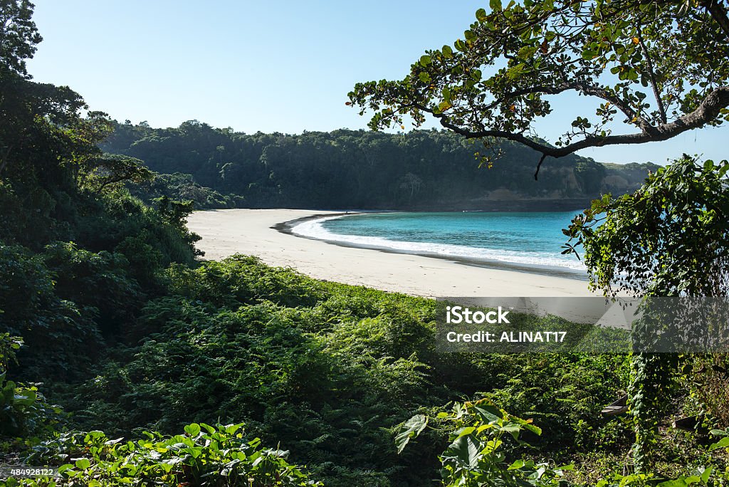 Wild white sand beach Hidden Wild white sand beach. Beautiful wild nature 2015 Stock Photo