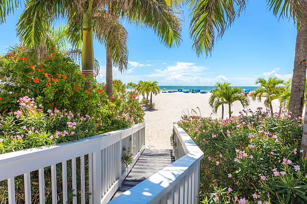 Boardwalk on beach in St. Pete, Florida, USA stock photo