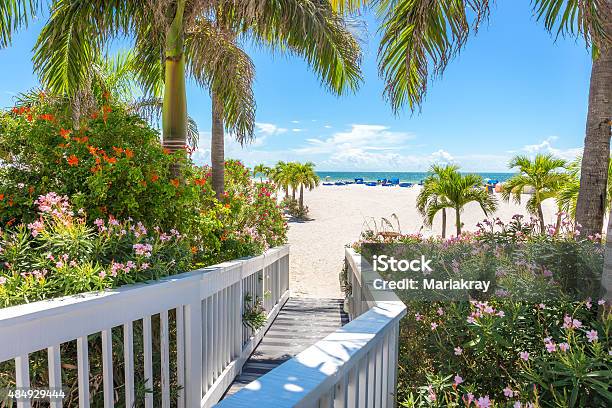Boardwalk On Beach In St Pete Florida Usa Stock Photo - Download Image Now - Florida - US State, St. Petersburg - Florida, Beach