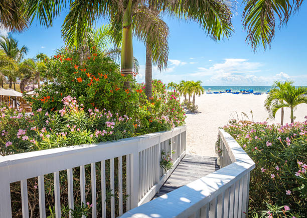 istock Boardwalk on beach in St. Pete, Florida, USA 484929446