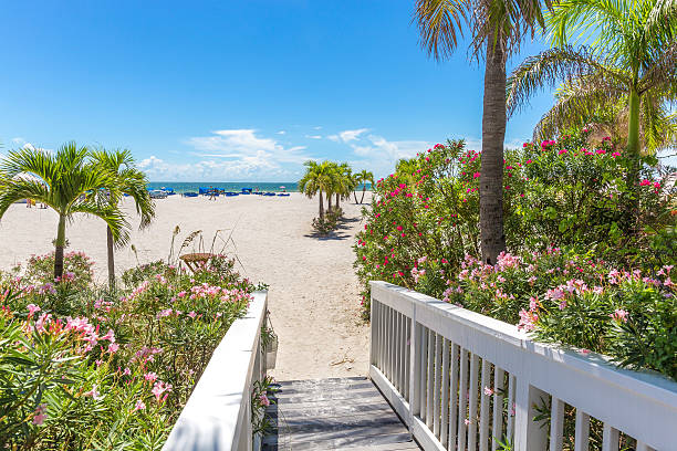 istock Boardwalk on beach in St. Pete, Florida, USA 484929448