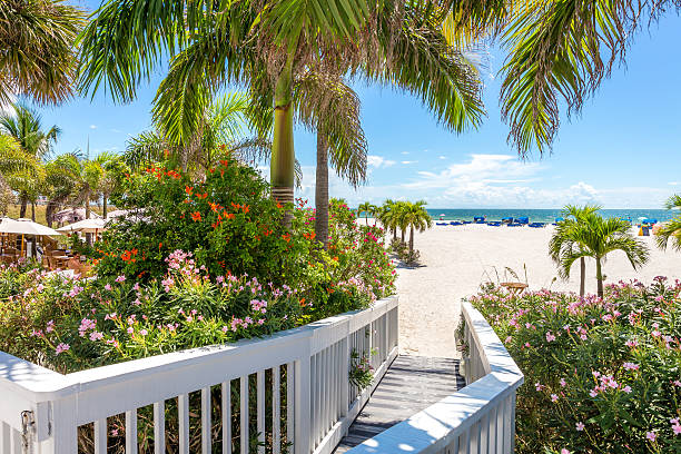 istock Boardwalk on beach in St. Pete, Florida, USA 484929450