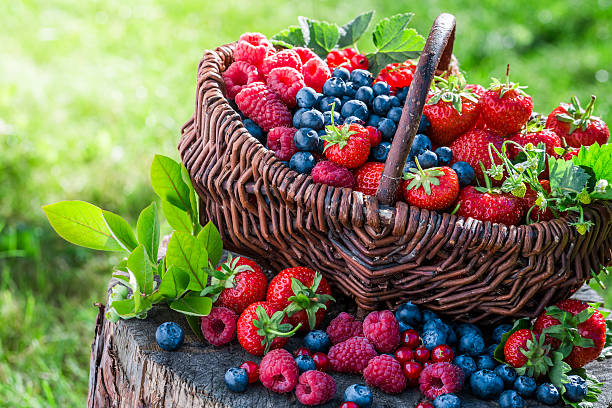 istock Healthy berries in sunny day 484932570