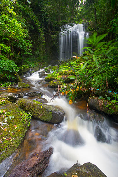 istock waterfall in deep forest of Thailand. 484935010