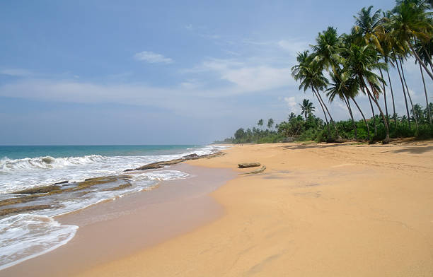 istock wild beach on Sri lanka coast 484936212