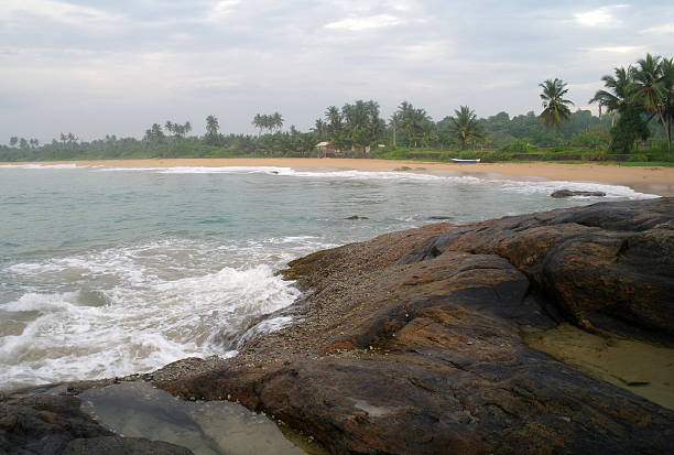 istock wild beach on Sri lanka coast 484936296