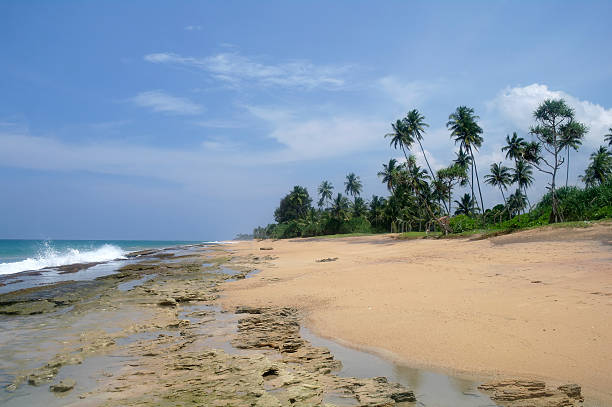 istock wild beach on Sri lanka coast 484936392