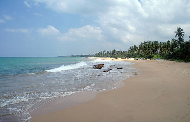 istock Picturesque  tropical beach. Sri Lanka 484936550