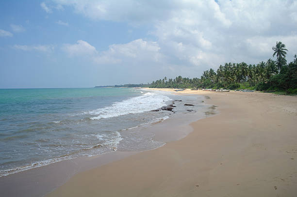 istock Picturesque  tropical beach. Sri Lanka 484936558