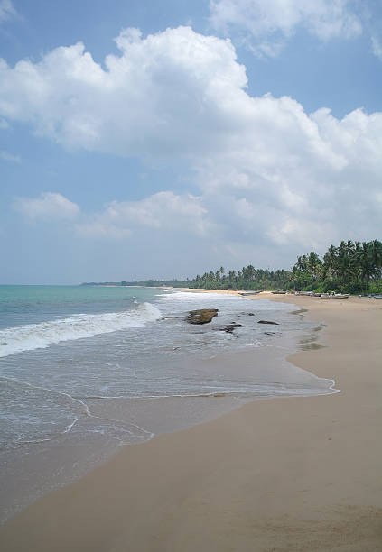 istock Picturesque  tropical beach. Sri Lanka 484936566