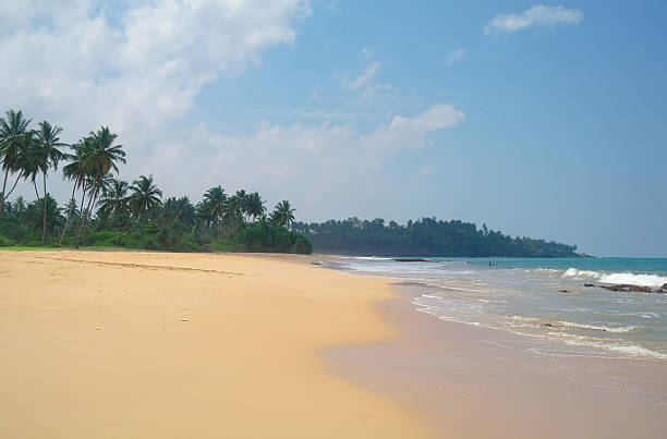 istock Picturesque  tropical beach. Sri Lanka 484936884