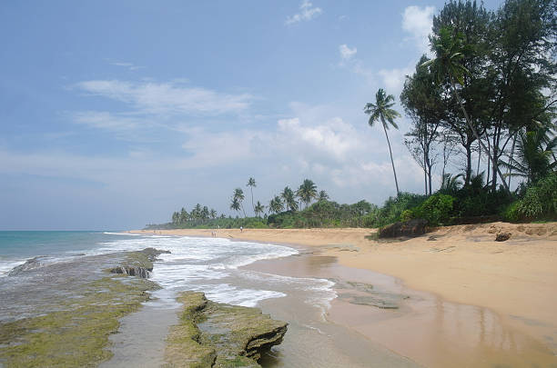 istock wild beach on Sri lanka coast 484936924