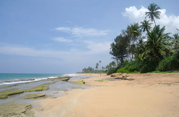 istock wild beach on Sri lanka coast 484936992