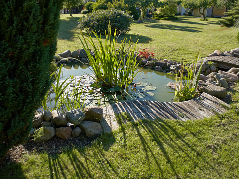Beautiful classical garden fish pond surrounded by grass gardening background