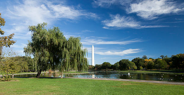 Washington Monument stock photo