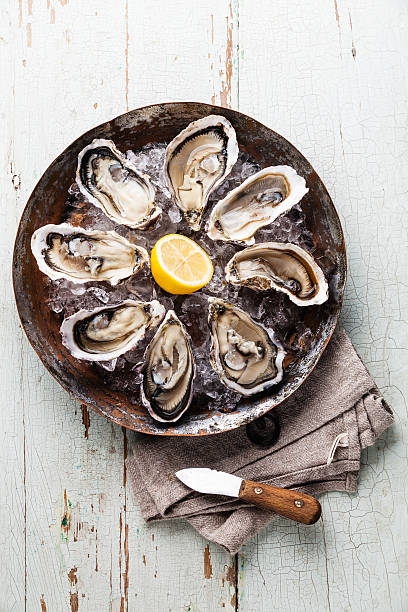 istock Opened Oysters with oyster knife 484938904