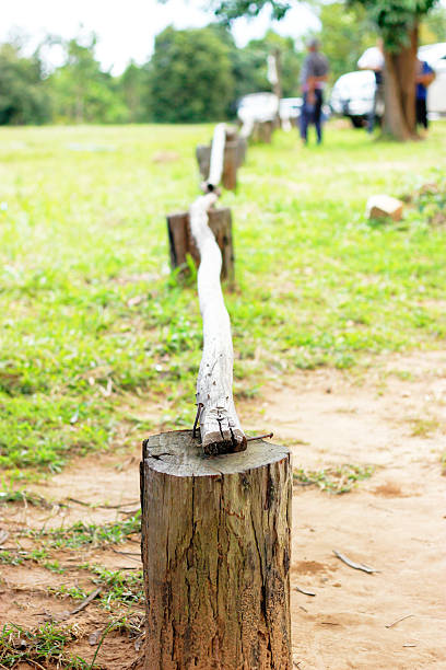 wooden fence