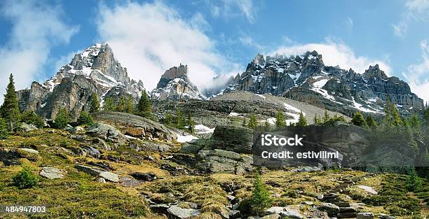 Views Of Rough Mountains From Lake Oesa Trail Stock Photo - Download Image Now - Alberta, British Columbia, Canada