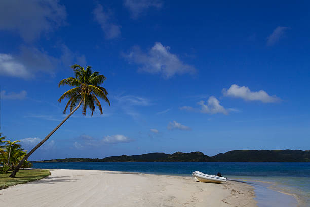 istock Tropical Calivigny Island 484949511